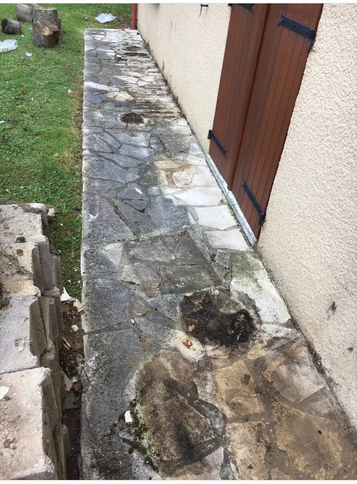 Avant — Nettoyage d'allée dallée