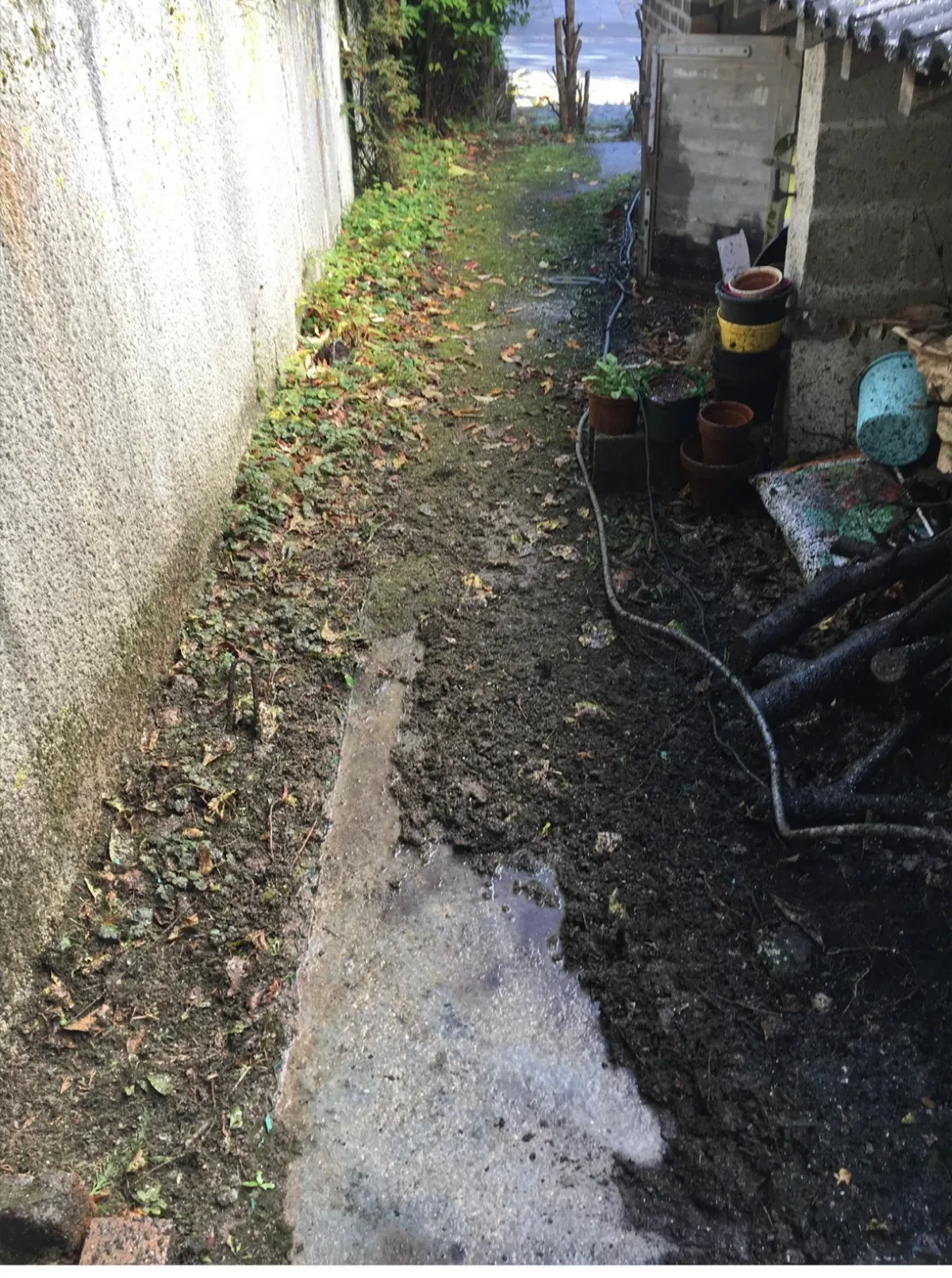 Avant — Nettoyage d'allée en béton