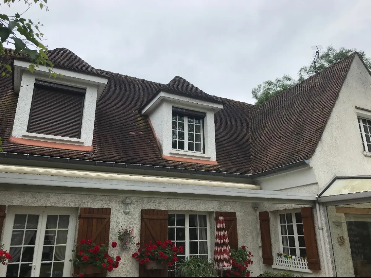 Avant — Démoussage de toiture