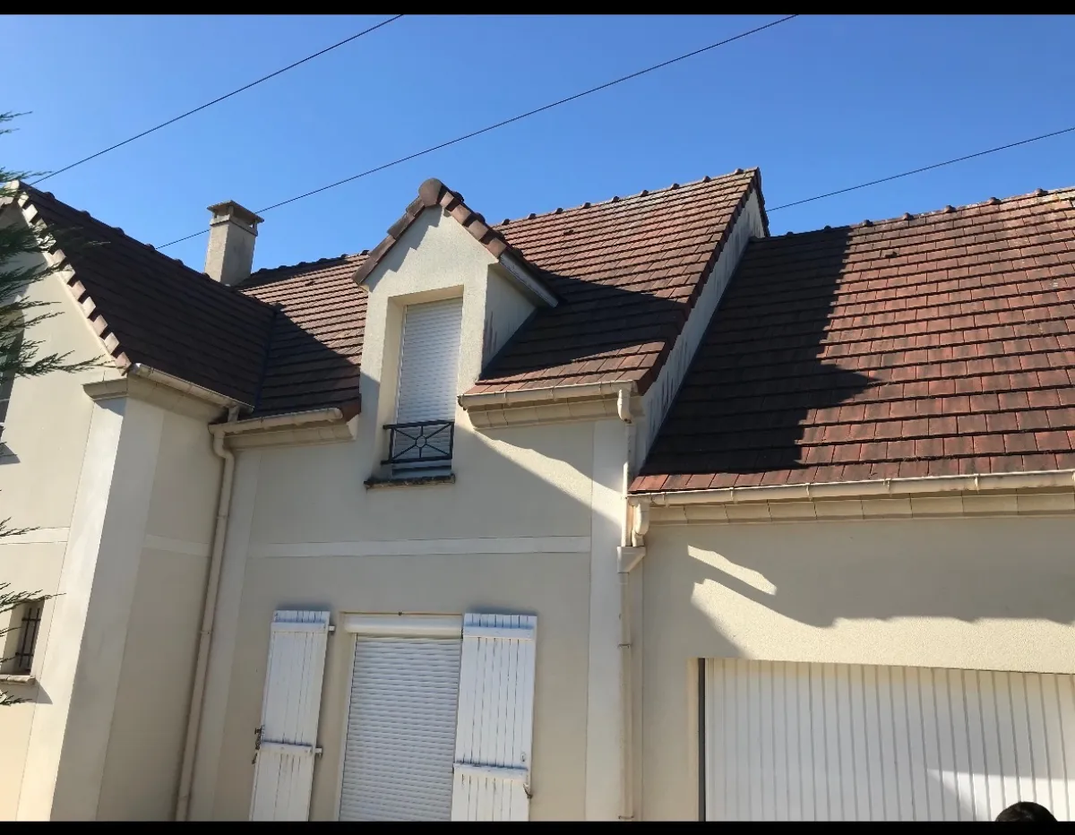 Avant — Démoussage de toiture